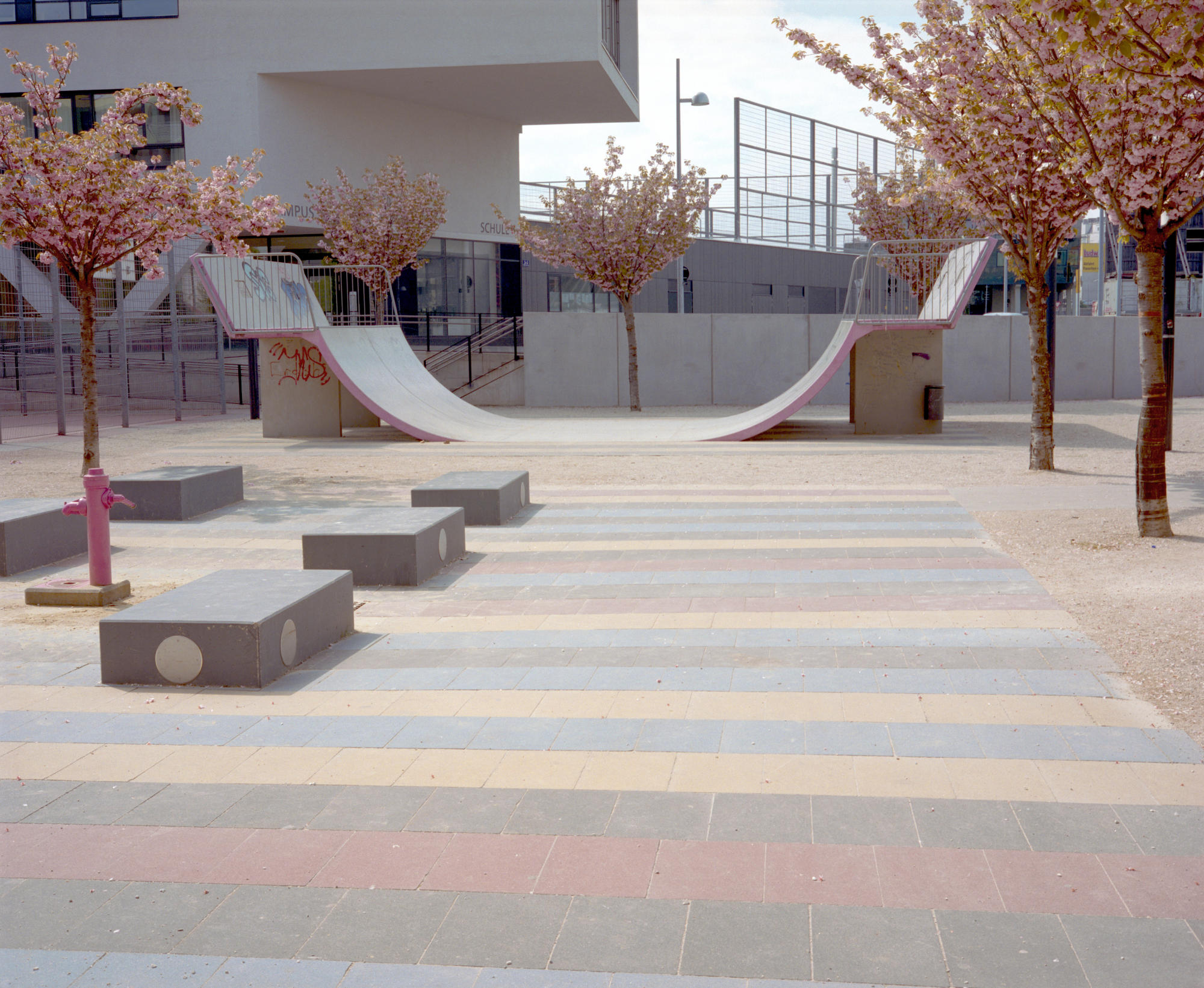 skateboard architecture #022